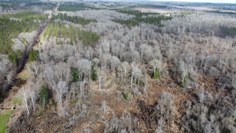 DCIM102MEDIADJI_0304