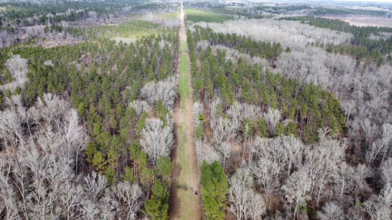 DCIM102MEDIADJI_0305