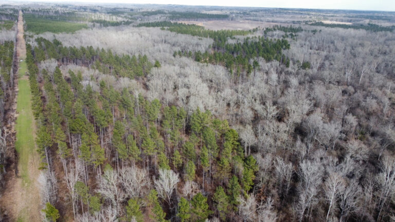 DCIM102MEDIADJI_0306