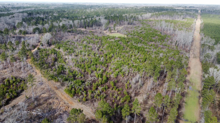 DCIM102MEDIADJI_0308