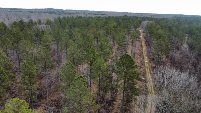 DCIM102MEDIADJI_0310