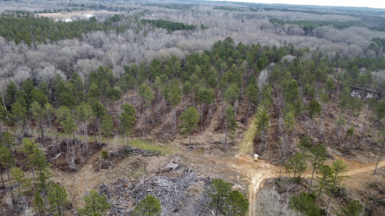 DCIM102MEDIADJI_0311