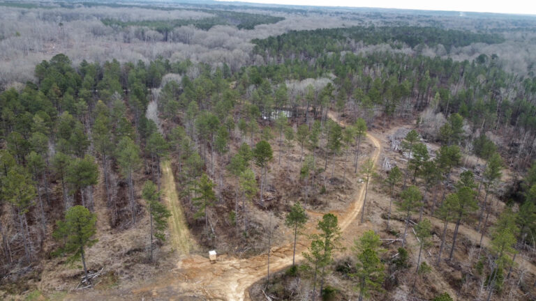 DCIM102MEDIADJI_0312