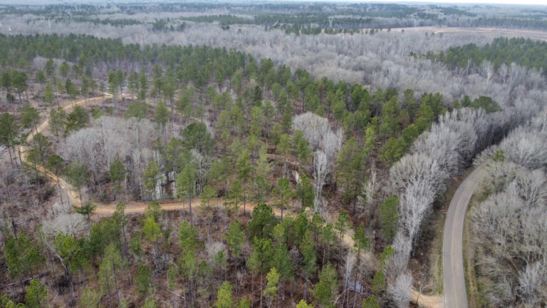 DCIM102MEDIADJI_0313