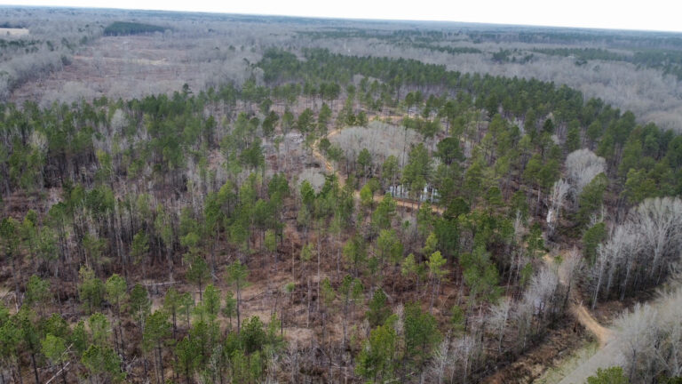 DCIM102MEDIADJI_0314