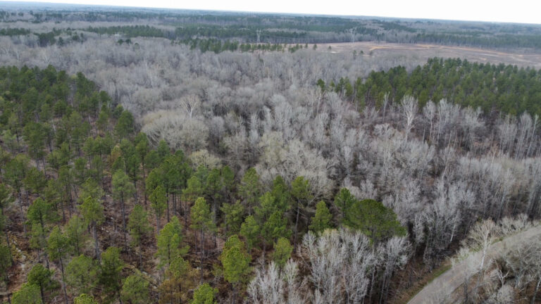 DCIM102MEDIADJI_0315