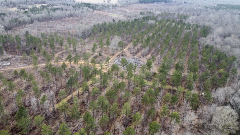 DCIM102MEDIADJI_0317