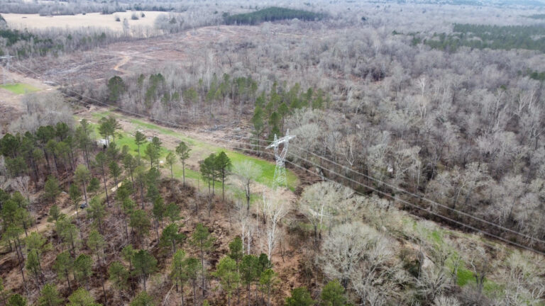 DCIM102MEDIADJI_0318