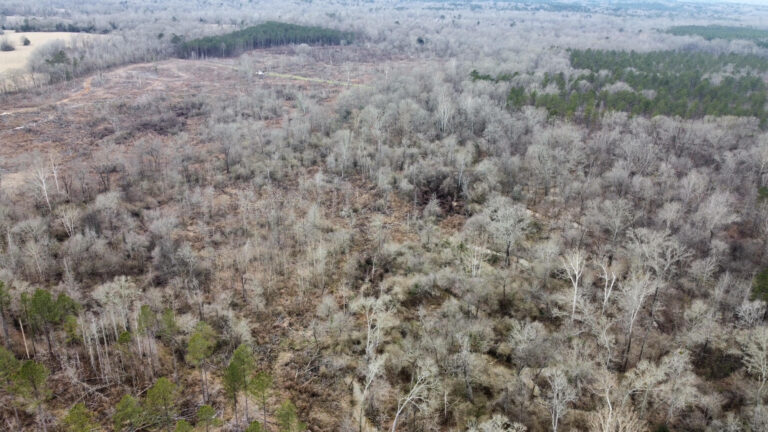 DCIM102MEDIADJI_0319