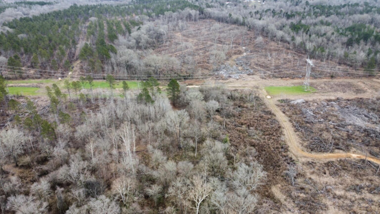 DCIM102MEDIADJI_0320