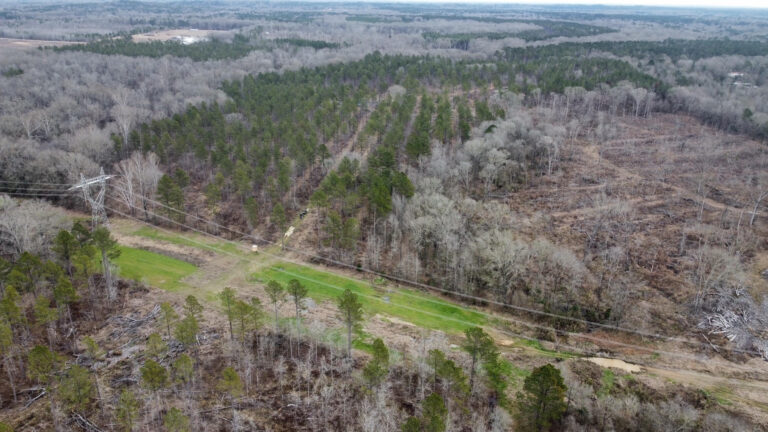 DCIM102MEDIADJI_0321