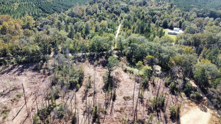 DCIM102MEDIADJI_0142