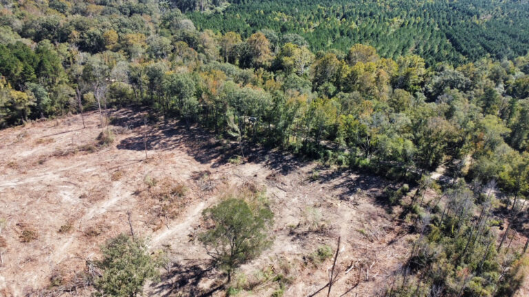 DCIM102MEDIADJI_0143