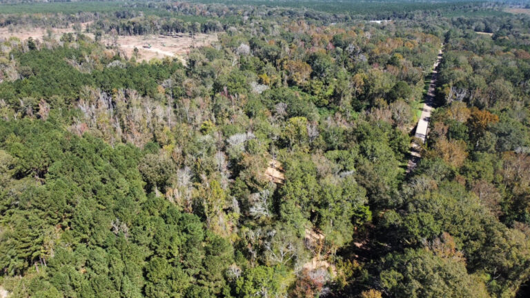 DCIM102MEDIADJI_0147