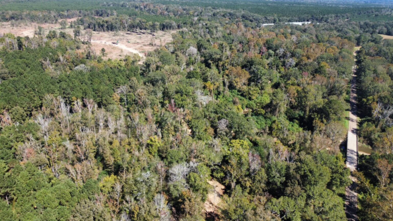 DCIM102MEDIADJI_0148