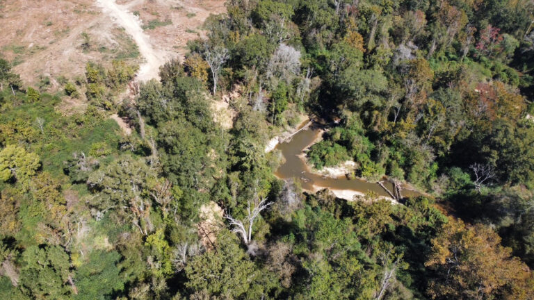 DCIM102MEDIADJI_0149