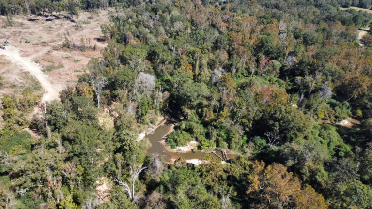 DCIM102MEDIADJI_0150