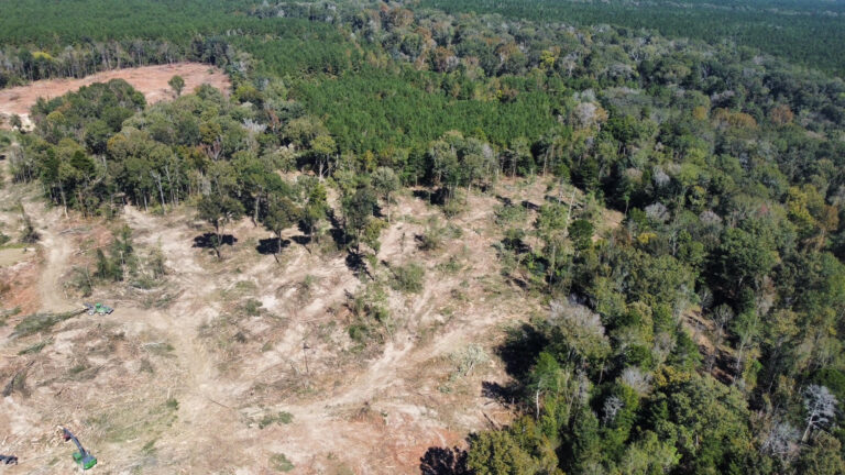 DCIM102MEDIADJI_0151