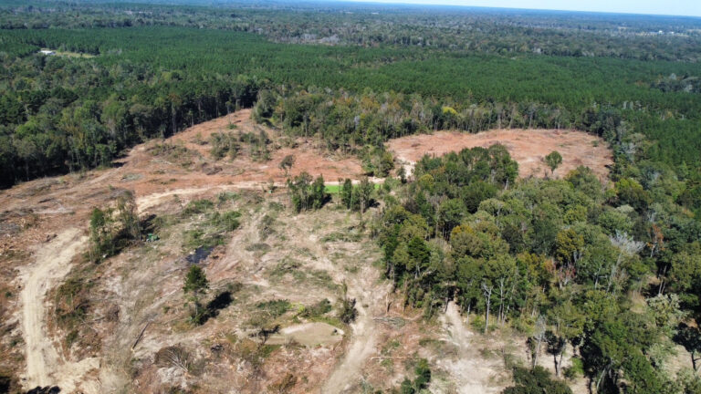 DCIM102MEDIADJI_0152