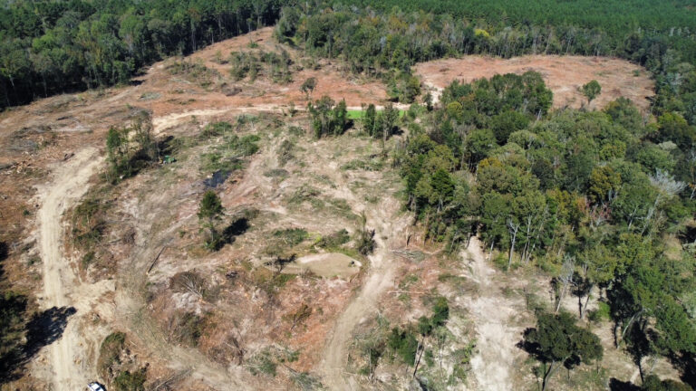 DCIM102MEDIADJI_0153