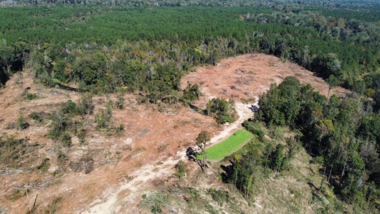 DCIM102MEDIADJI_0154