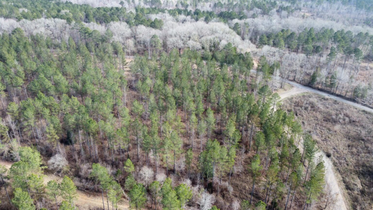 DCIM102MEDIADJI_0287