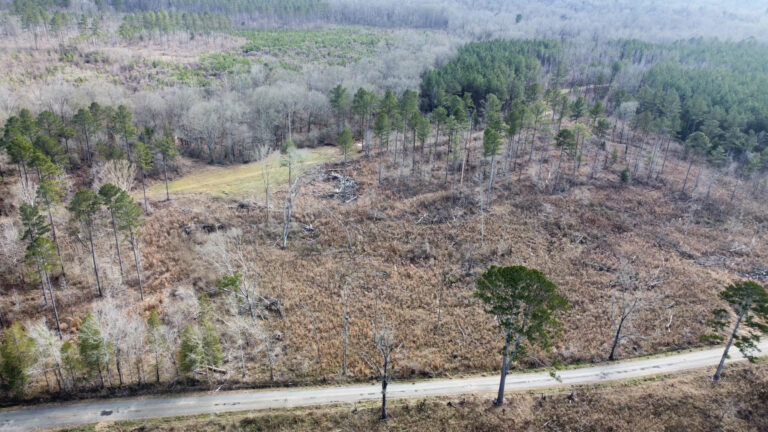 DCIM102MEDIADJI_0288