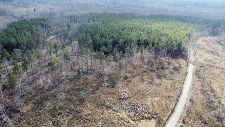 DCIM102MEDIADJI_0289