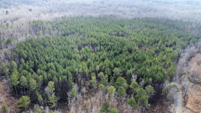 DCIM102MEDIADJI_0290