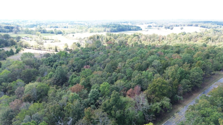 DCIM100MEDIADJI_0323