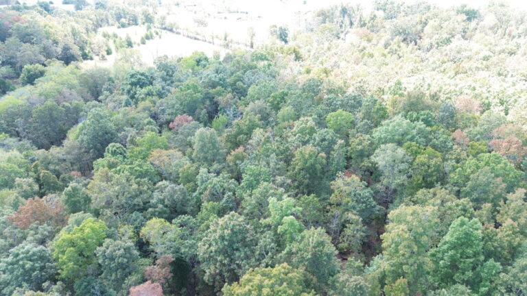 DCIM100MEDIADJI_0324