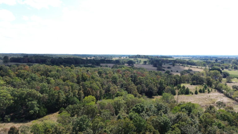 DCIM100MEDIADJI_0325