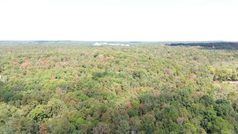 DCIM100MEDIADJI_0326