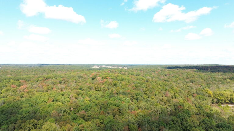 DCIM100MEDIADJI_0327