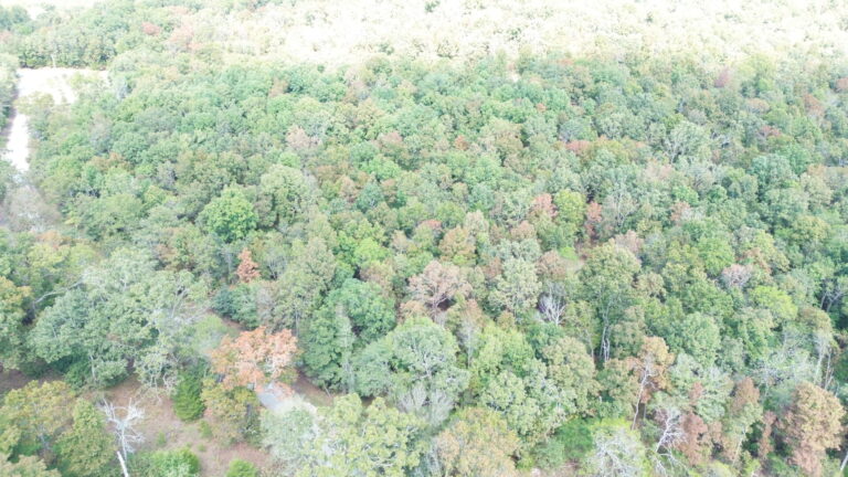 DCIM100MEDIADJI_0328