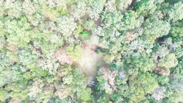 DCIM100MEDIADJI_0329