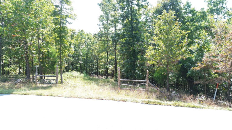 DCIM100MEDIADJI_0331