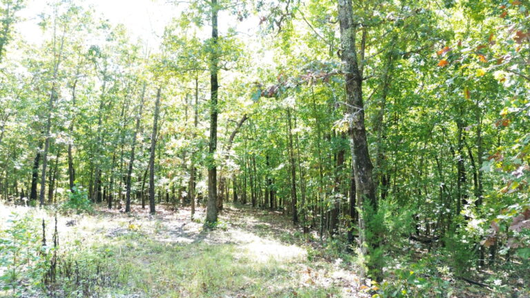 DCIM100MEDIADJI_0332