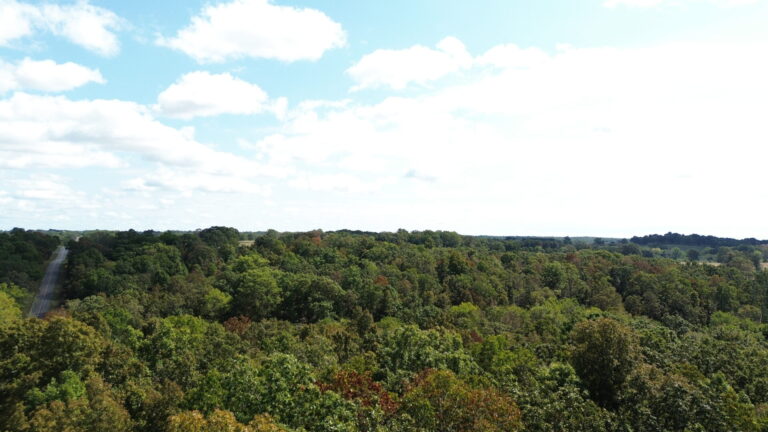 DCIM100MEDIADJI_0333