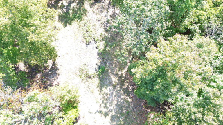 DCIM100MEDIADJI_0334