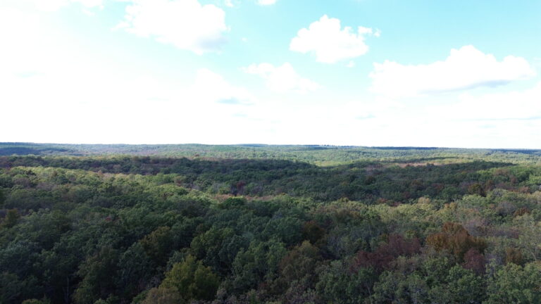 DCIM100MEDIADJI_0338