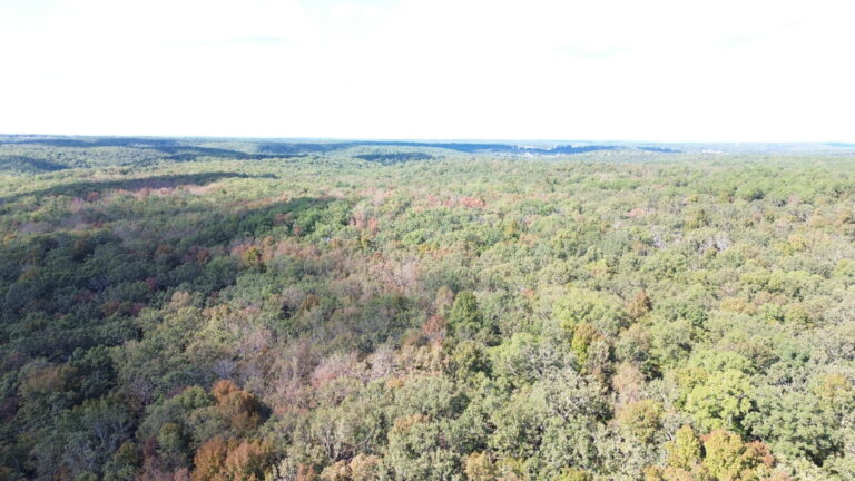 DCIM100MEDIADJI_0339