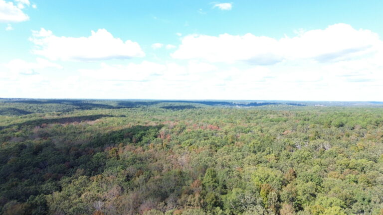 DCIM100MEDIADJI_0340