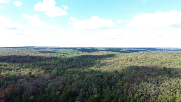 DCIM100MEDIADJI_0341