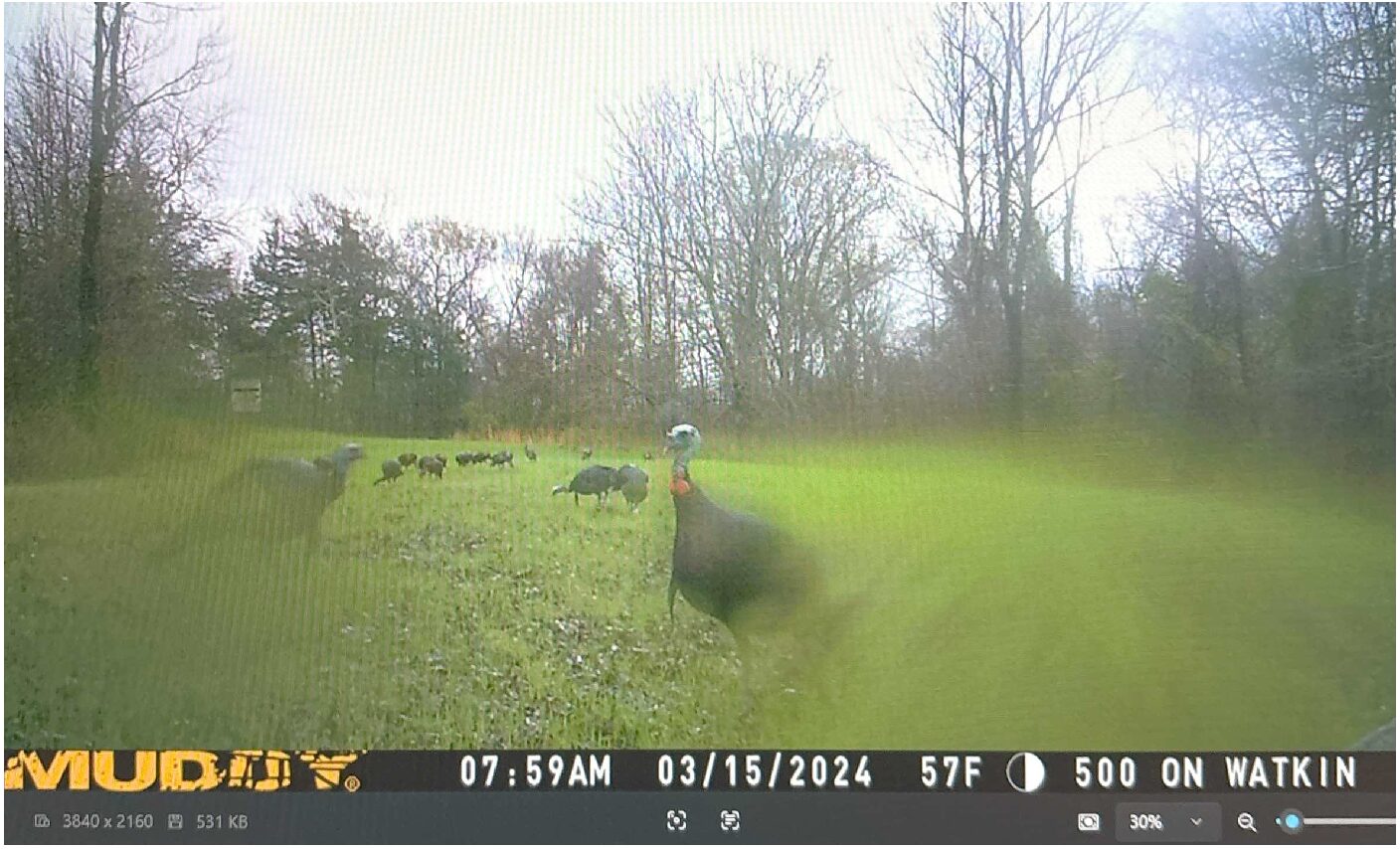 Doc - May 13 2025 - 9-17 AM