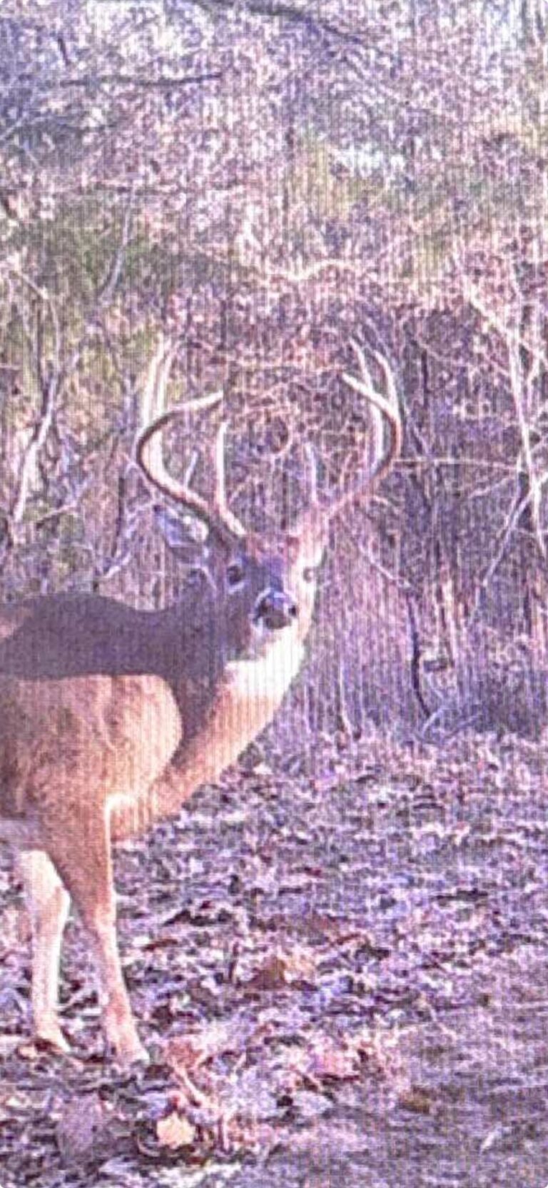 Screenshot 2025-07-22 at 7.26