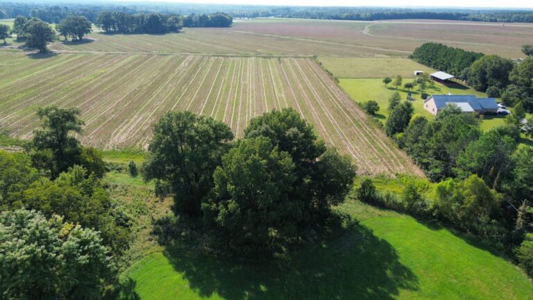 DCIM100MEDIADJI_0937