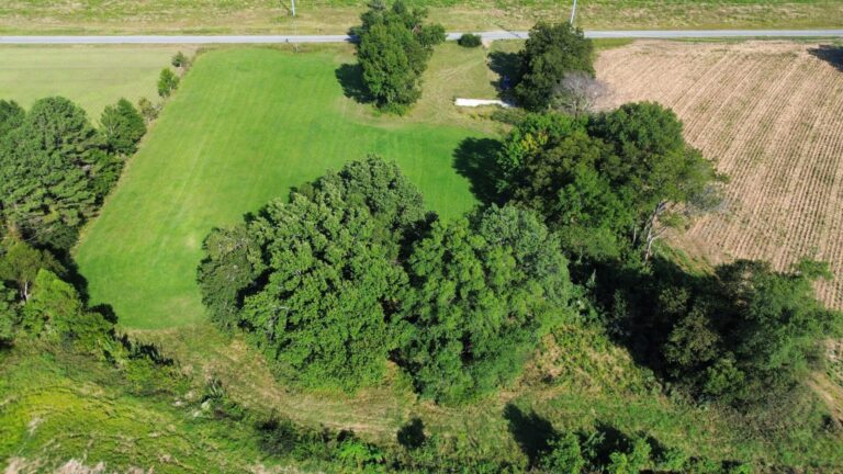 DCIM100MEDIADJI_0941