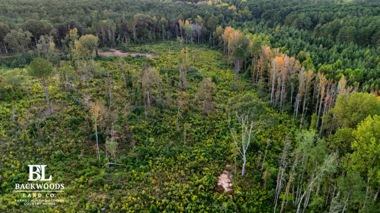 hayes leak county pics00