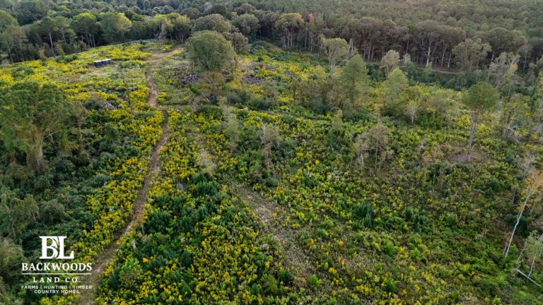 hayes leak county pics02